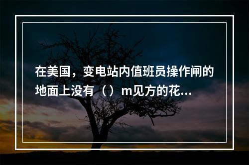 在美国，变电站内值班员操作闸的地面上没有（ ）m见方的花纹钢