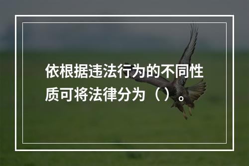 依根据违法行为的不同性质可将法律分为（ ）。