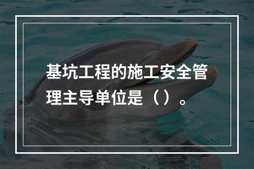 基坑工程的施工安全管理主导单位是（ ）。