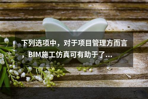 下列选项中，对于项目管理方而言，BIM施工仿真可有助于了解整