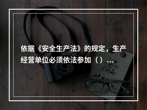 依据《安全生产法》的规定，生产经营单位必须依法参加（ ），为