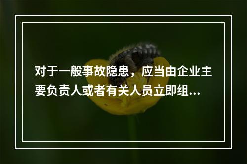 对于一般事故隐患，应当由企业主要负责人或者有关人员立即组织整