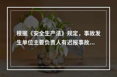 根据《安全生产法》规定，事故发生单位主要负责人有迟报事故行为