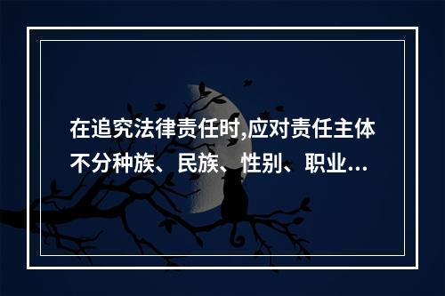 在追究法律责任时,应对责任主体不分种族、民族、性别、职业、社