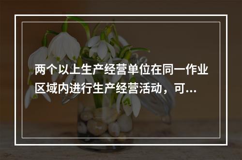 两个以上生产经营单位在同一作业区域内进行生产经营活动，可能危