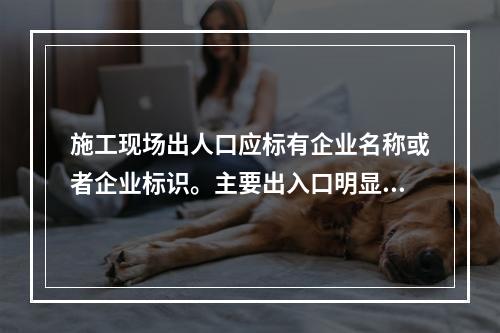 施工现场出人口应标有企业名称或者企业标识。主要出入口明显处应