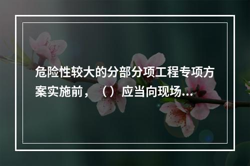 危险性较大的分部分项工程专项方案实施前，（ ）应当向现场管理