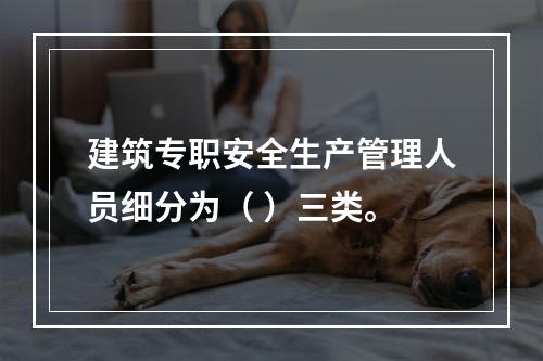 建筑专职安全生产管理人员细分为（ ）三类。