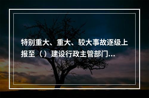 特别重大、重大、较大事故逐级上报至（ ）建设行政主管部门。