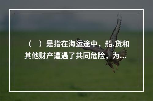 （　）是指在海运途中，船.货和其他财产遭遇了共同危险，为了共