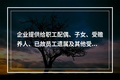 企业提供给职工配偶、子女、受赡养人、已故员工遗属及其他受益人