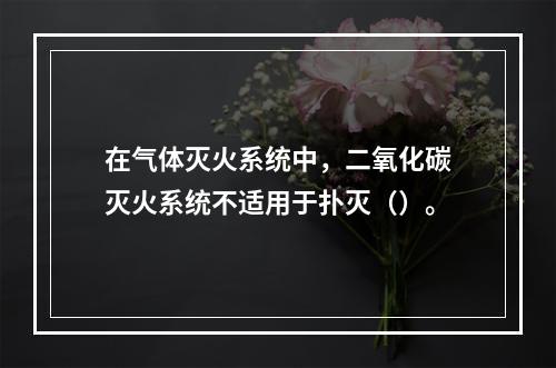 在气体灭火系统中，二氧化碳灭火系统不适用于扑灭（）。