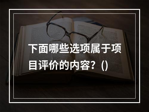 下面哪些选项属于项目评价的内容？()