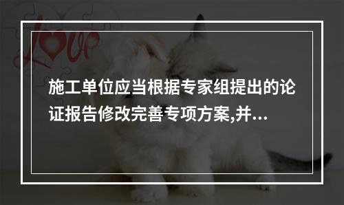 施工单位应当根据专家组提出的论证报告修改完善专项方案,并经（