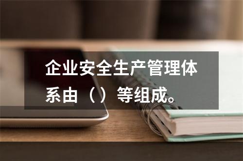 企业安全生产管理体系由（ ）等组成。