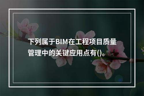 下列属于BIM在工程项目质量管理中的关键应用点有()。