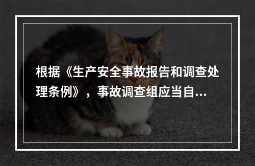 根据《生产安全事故报告和调查处理条例》，事故调查组应当自事故