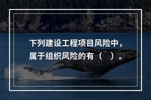 下列建设工程项目风险中，属于组织风险的有（　）。