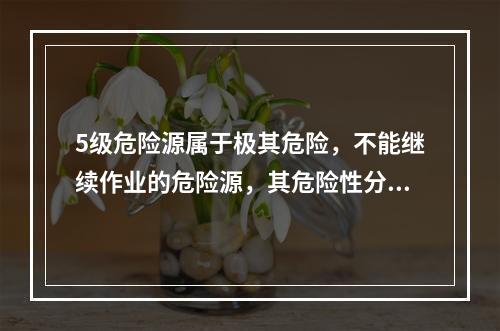 5级危险源属于极其危险，不能继续作业的危险源，其危险性分值大