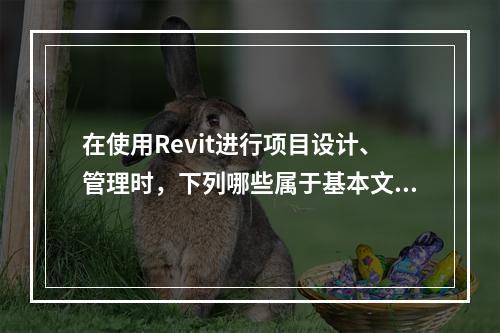 在使用Revit进行项目设计、管理时，下列哪些属于基本文件格