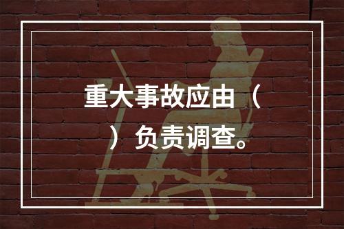 重大事故应由（　）负责调查。