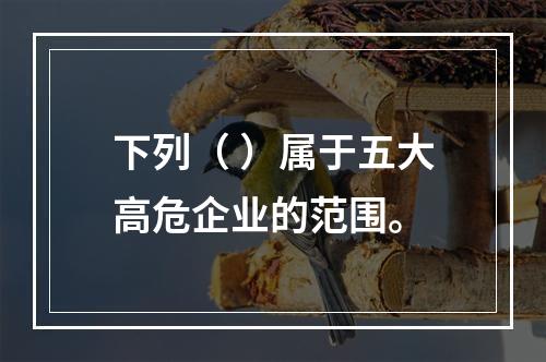 下列（ ）属于五大高危企业的范围。