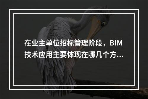 在业主单位招标管理阶段，BIM技术应用主要体现在哪几个方面？