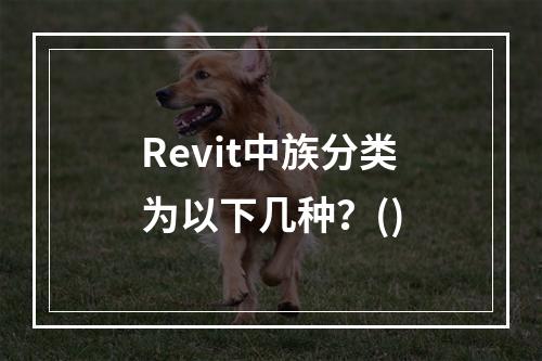 Revit中族分类为以下几种？()