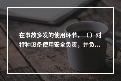 在事故多发的使用环节，（ ）对特种设备使用安全负责，并负有对