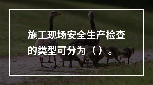 施工现场安全生产检查的类型可分为（ ）。