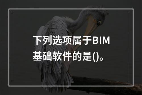 下列选项属于BIM基础软件的是()。