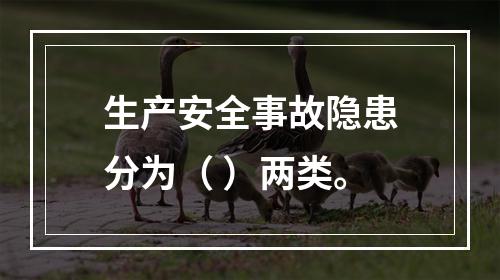 生产安全事故隐患分为（ ）两类。