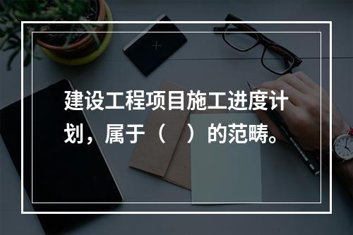 建设工程项目施工进度计划，属于（　）的范畴。