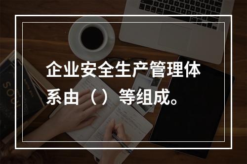 企业安全生产管理体系由（ ）等组成。