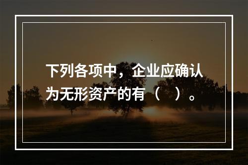 下列各项中，企业应确认为无形资产的有（　）。