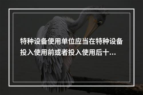 特种设备使用单位应当在特种设备投入使用前或者投入使用后十日内