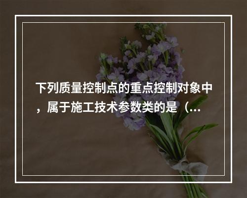 下列质量控制点的重点控制对象中，属于施工技术参数类的是（　）