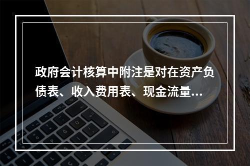 政府会计核算中附注是对在资产负债表、收入费用表、现金流量表等