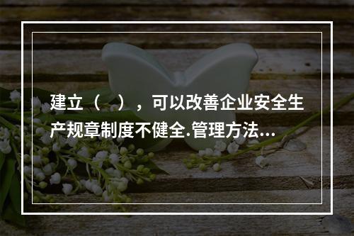 建立（　），可以改善企业安全生产规章制度不健全.管理方法不适