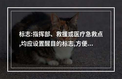 标志:指挥部、救援或医疗急救点,均应设置醒目的标志,方便救援