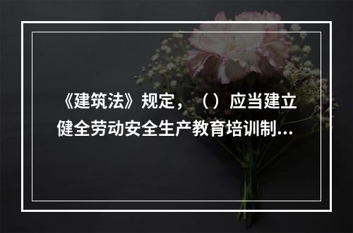 《建筑法》规定，（ ）应当建立健全劳动安全生产教育培训制度，