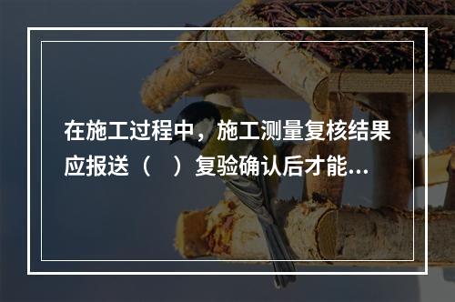 在施工过程中，施工测量复核结果应报送（　）复验确认后才能进行