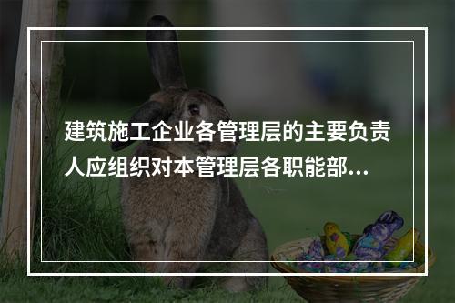 建筑施工企业各管理层的主要负责人应组织对本管理层各职能部门、