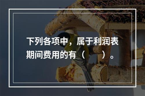 下列各项中，属于利润表期间费用的有（　　）。