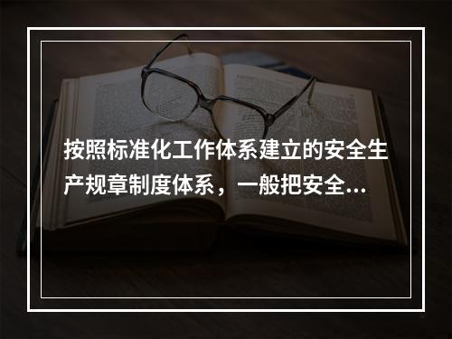 按照标准化工作体系建立的安全生产规章制度体系，一般把安全生产