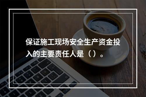 保证施工现场安全生产资金投入的主要责任人是（ ）。