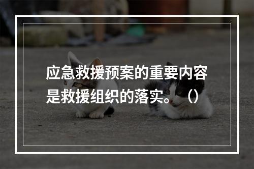 应急救援预案的重要内容是救援组织的落实。（）