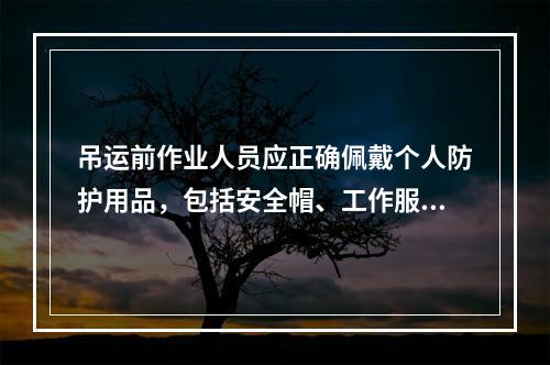 吊运前作业人员应正确佩戴个人防护用品，包括安全帽、工作服、工