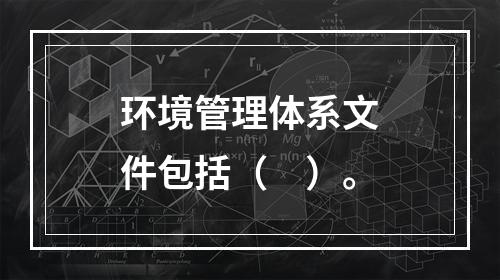 环境管理体系文件包括（　）。