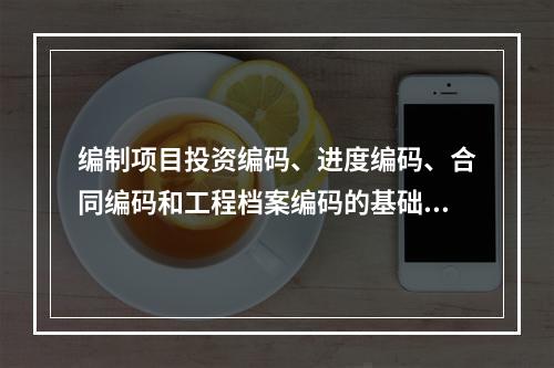 编制项目投资编码、进度编码、合同编码和工程档案编码的基础是（